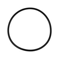 R-WF., Уплотнительное резиновое кольцо для корпусов серии WF-HOT-10.